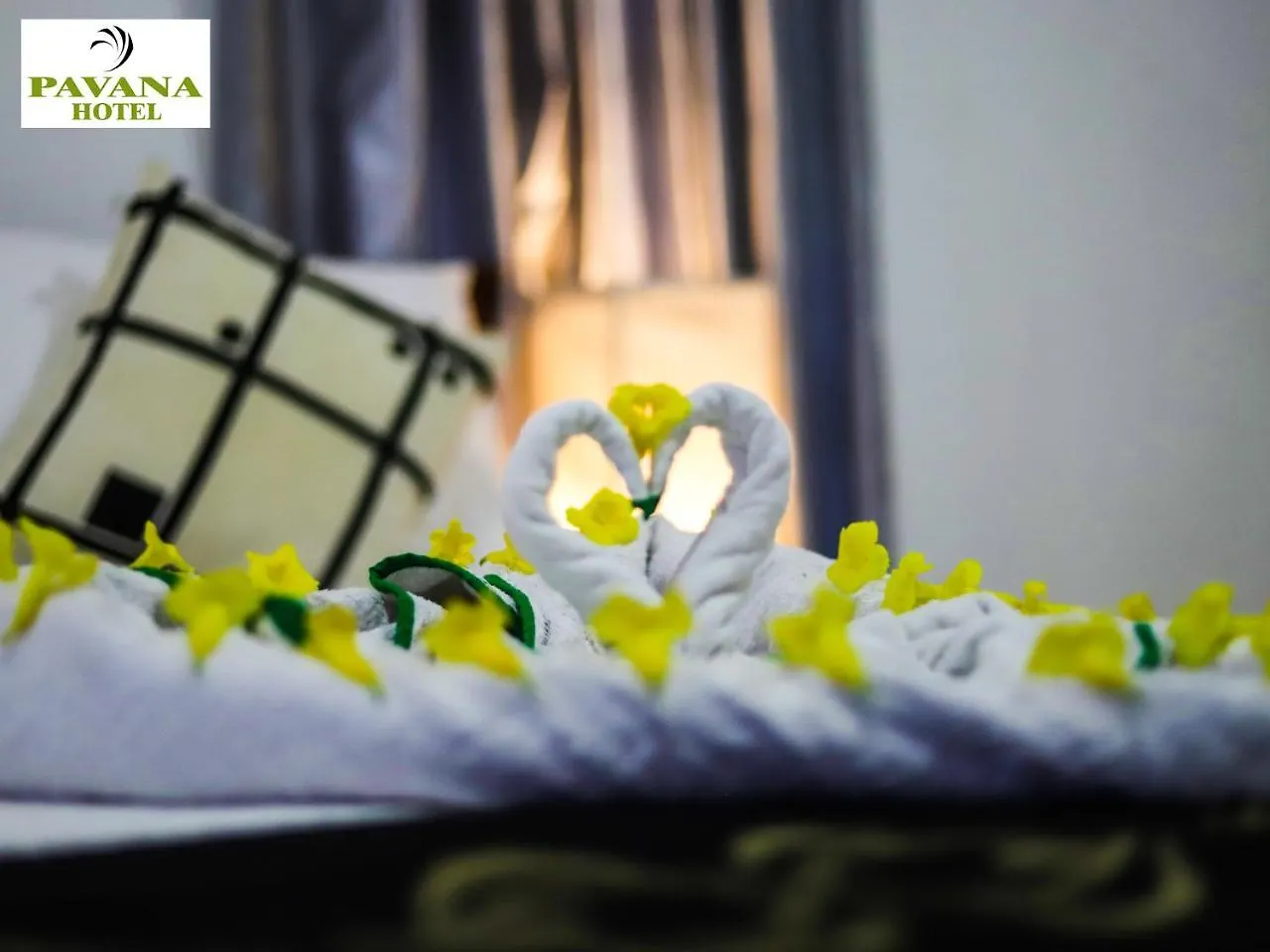Negombo Hostel Villa